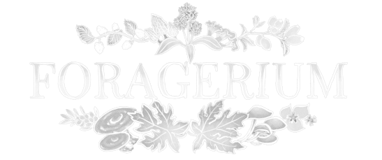 foragerium logo temporary white