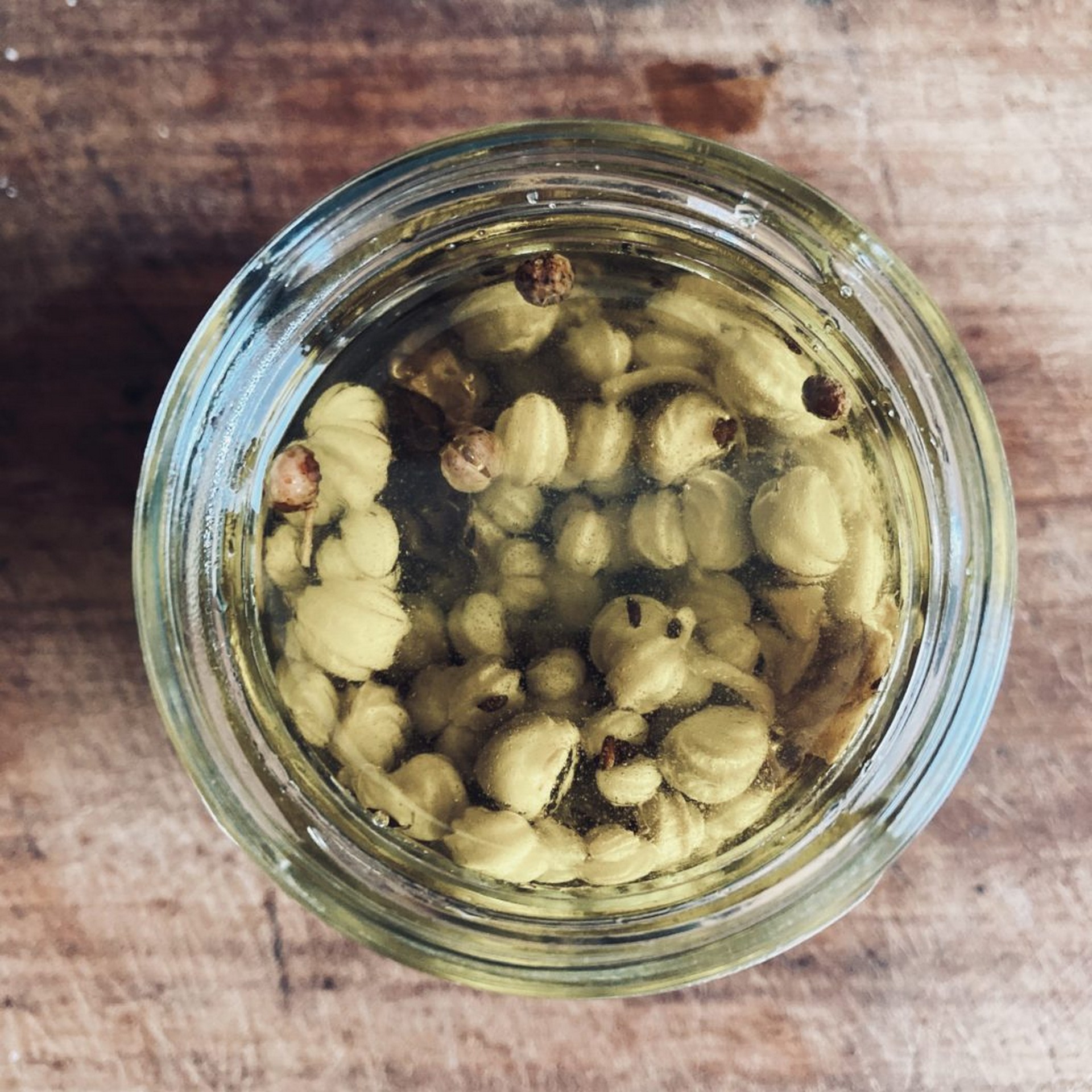 Pickled Nasturtium capers. Two methods.