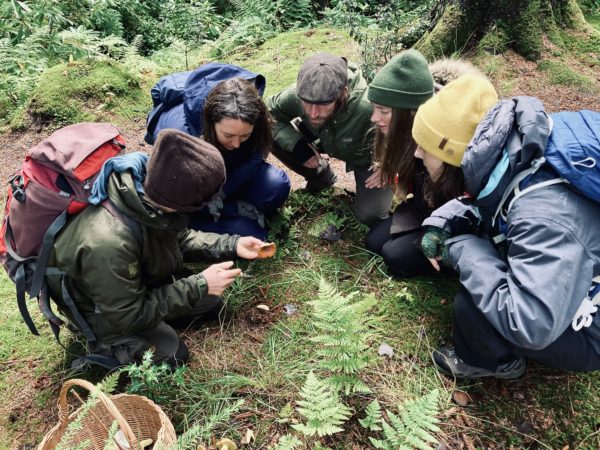 mushroom foraging